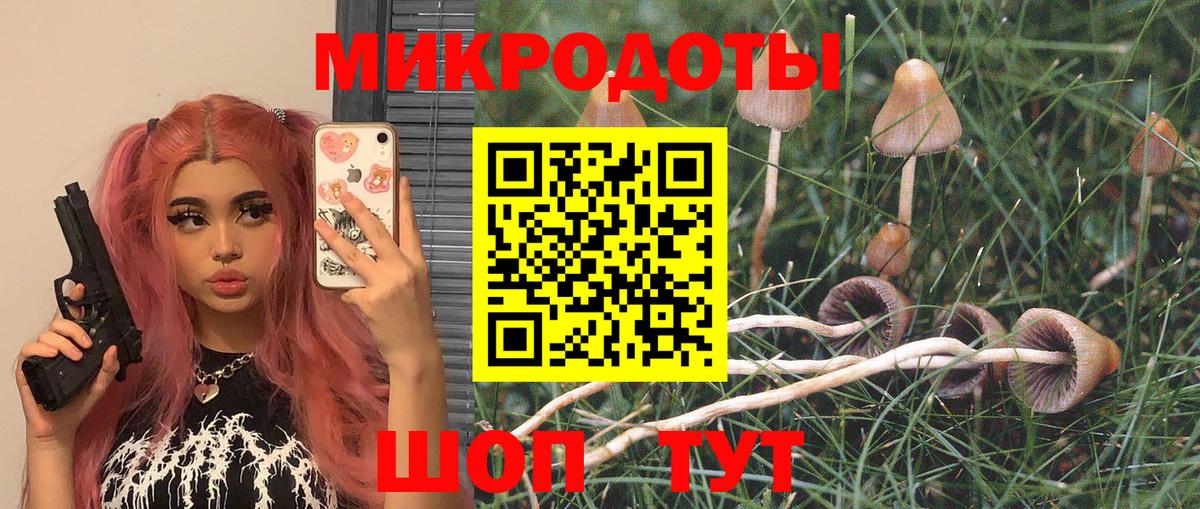 ГАШ  Киселёвск  Мефедрон кристаллы  Вход с VPN  Альфа ПВП СК   Марихуана  COCAIN 